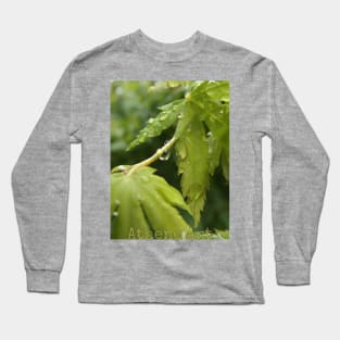 Raindrops on Leaves Long Sleeve T-Shirt